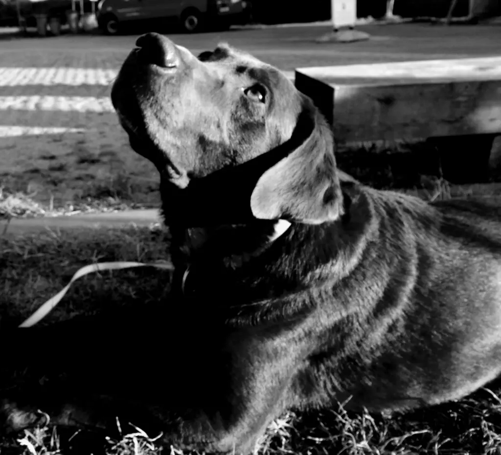 Andachtsbild von Silvana