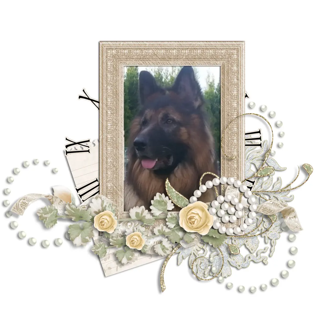 Andachtsbild von Birgit