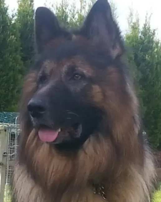 Condolence image of Birgit und Uwe 