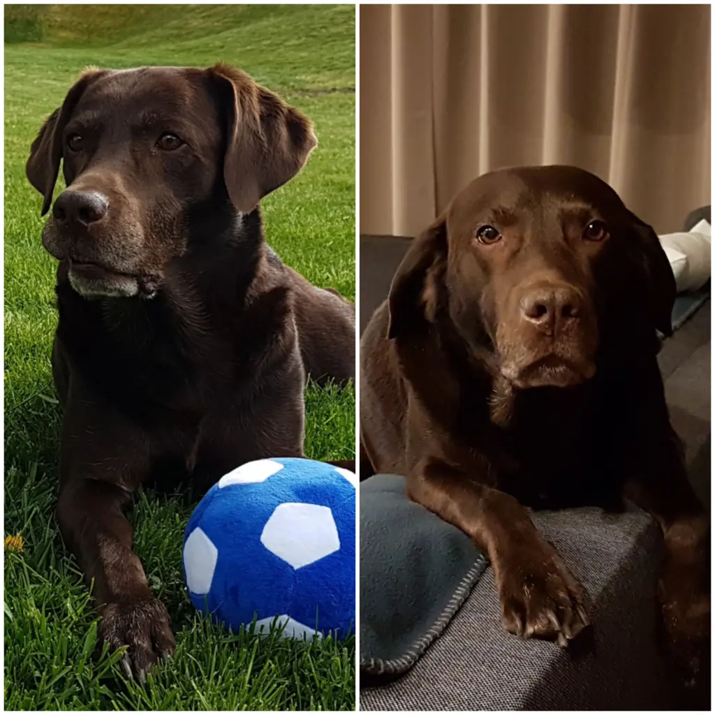 Condolence image of Silvana 