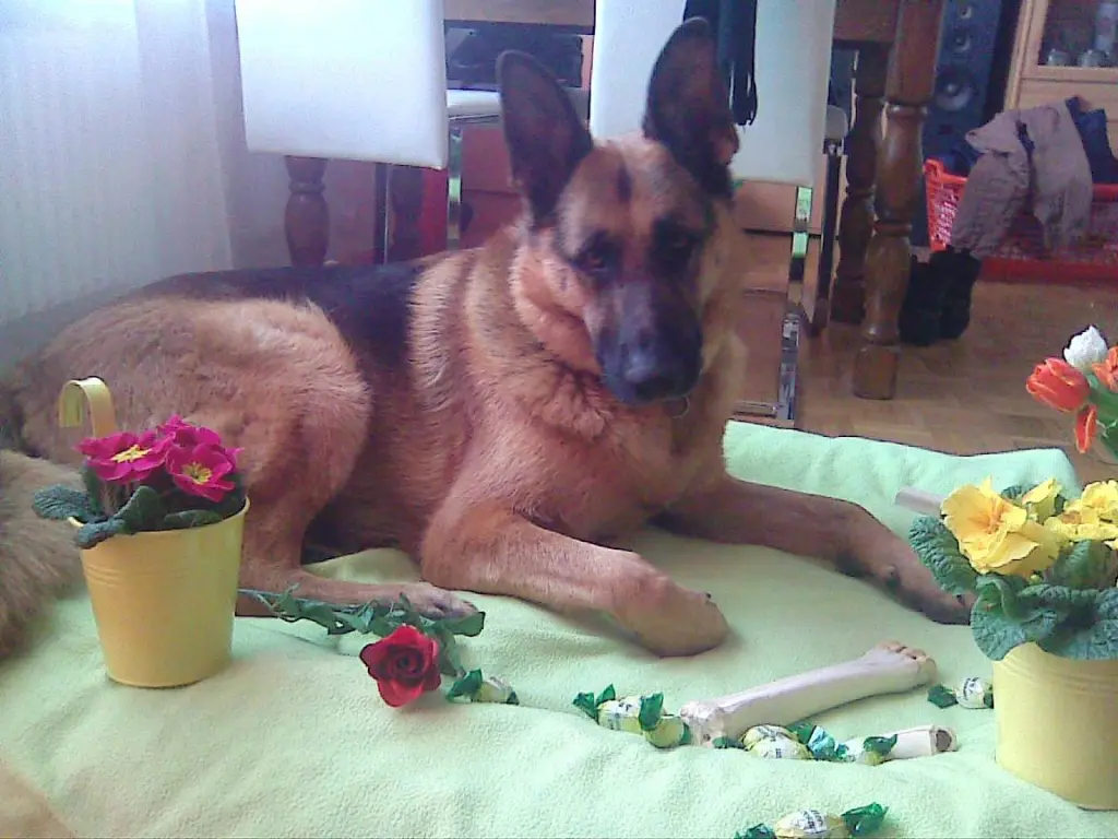 Condolence image of Marianne