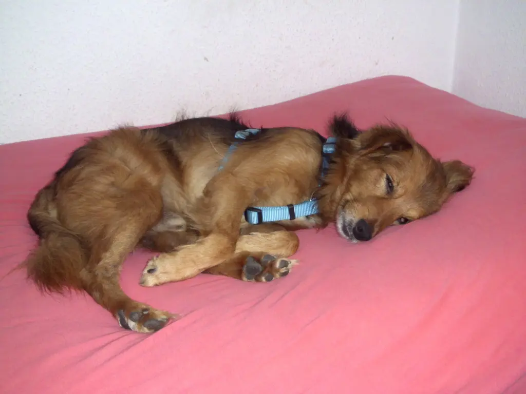 Condolence image of Marliese