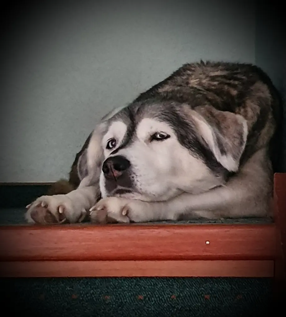 Condolence image of Kathrin