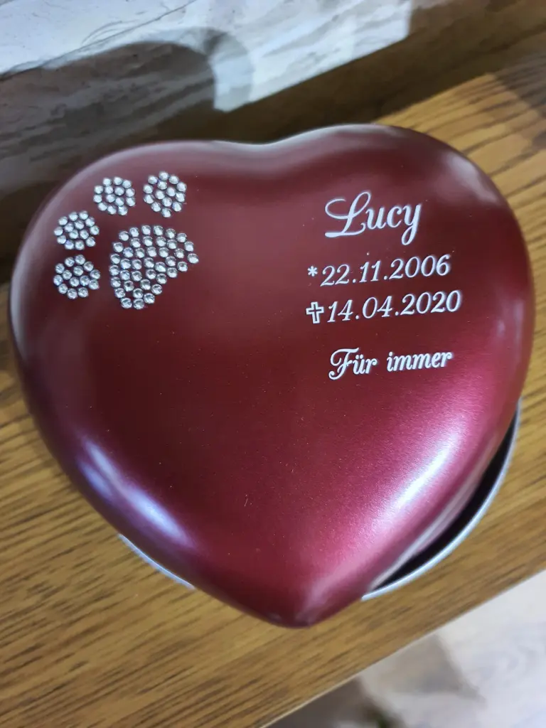 Image from Lucy