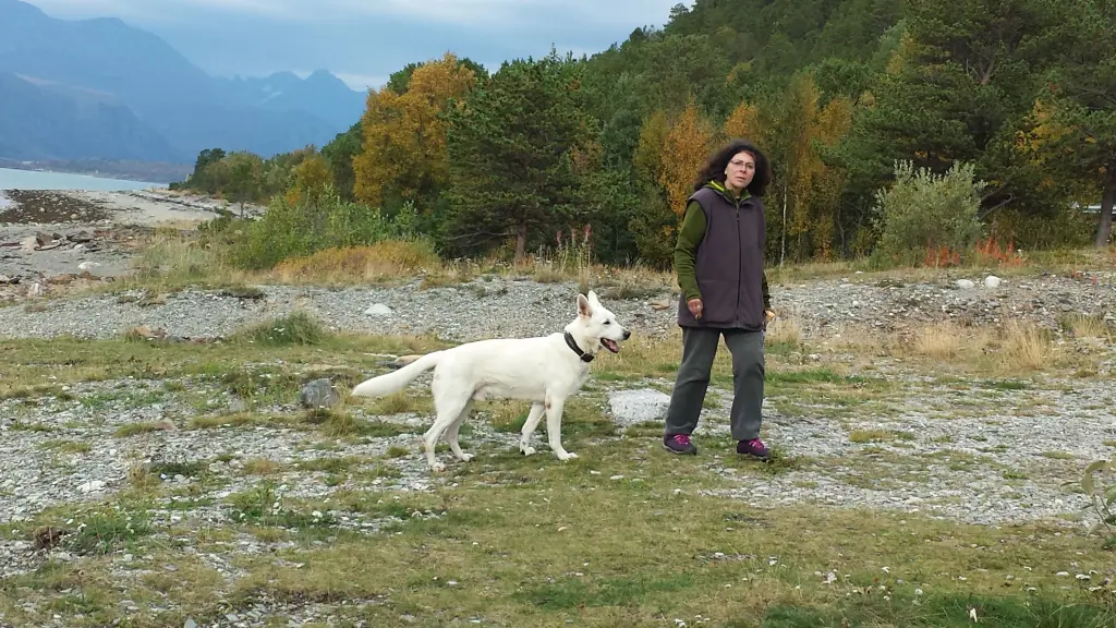 Image from Karhu