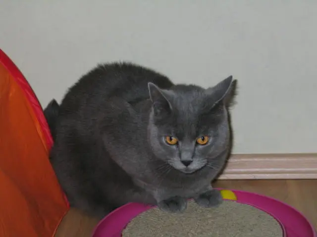Image from Quincy