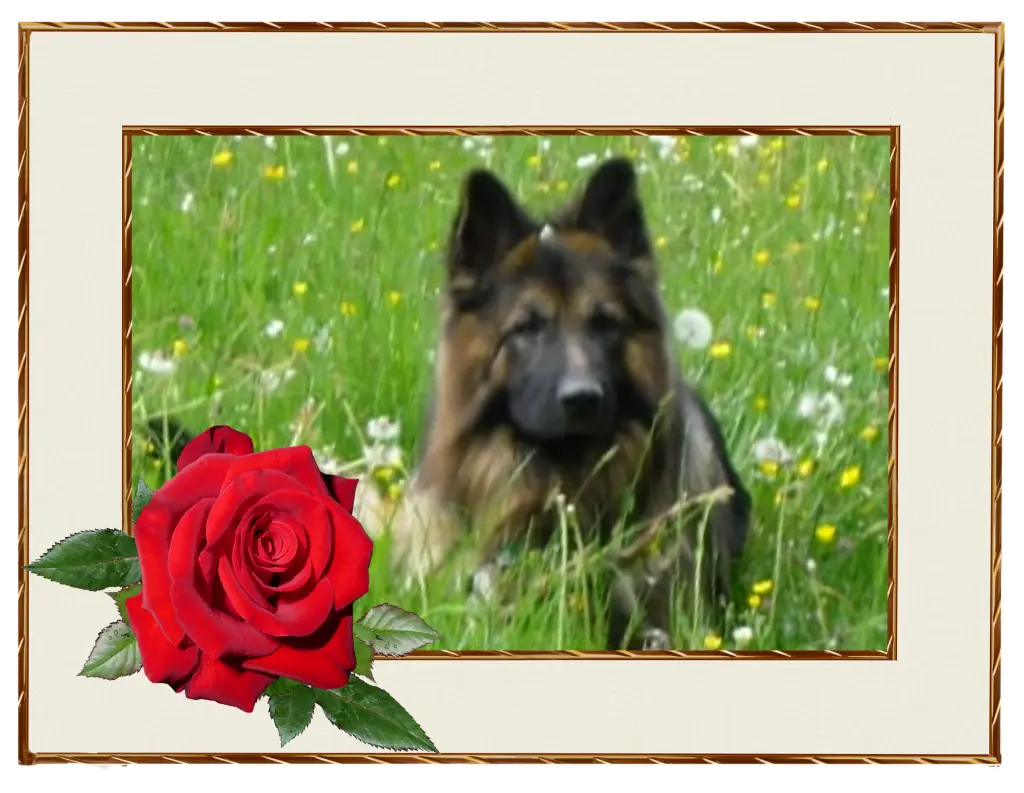 Andachtsbild von Birgit
