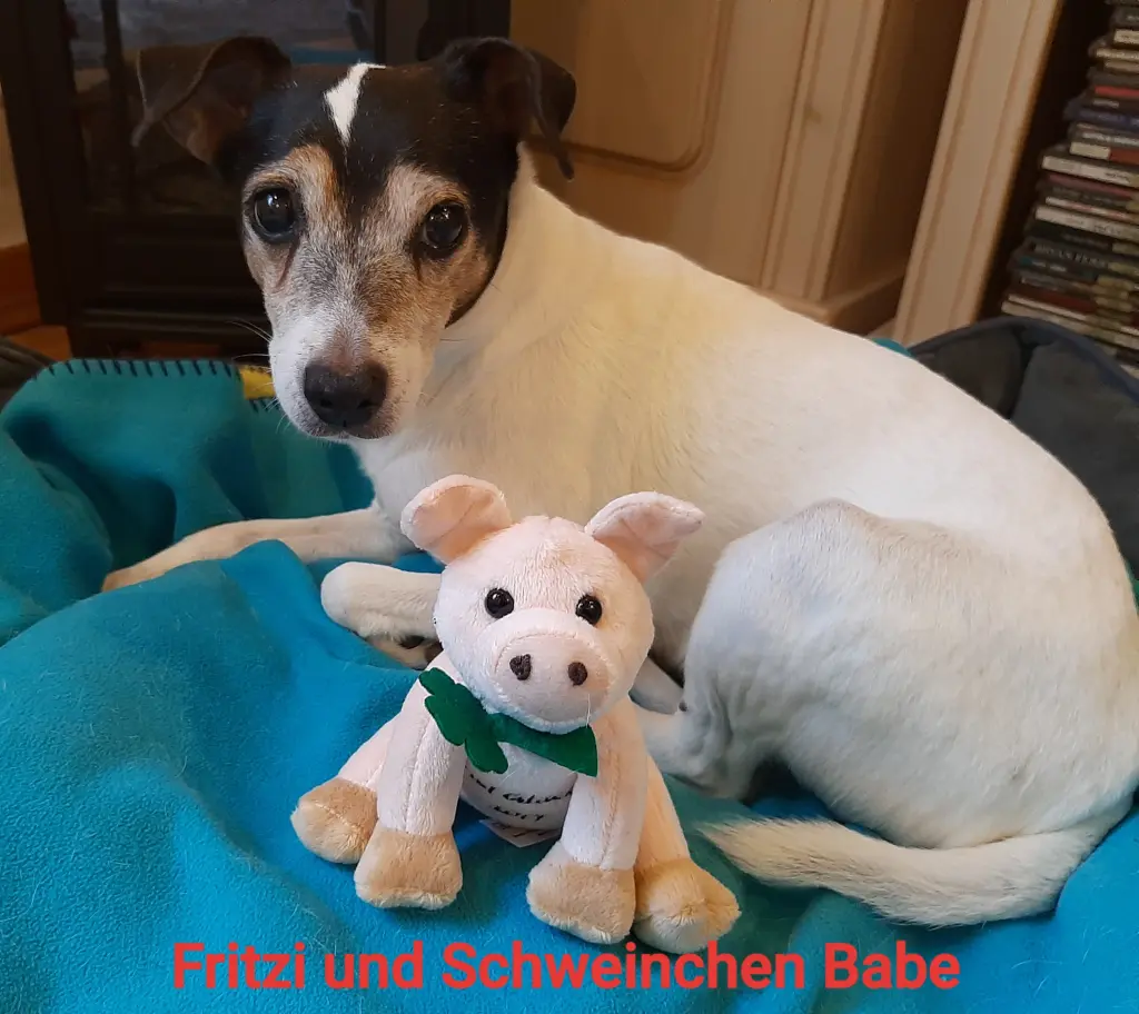 Bild von Fritzi