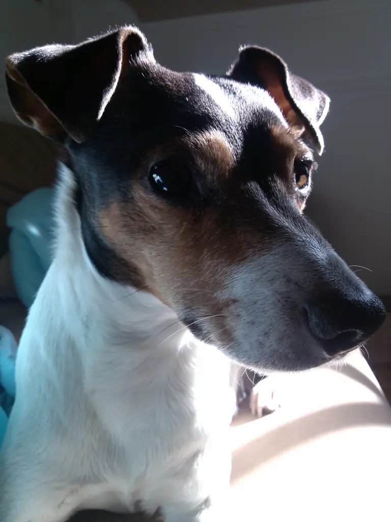 Bild von Fritzi
