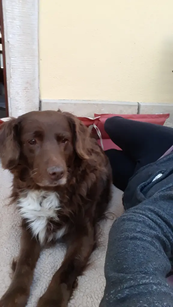 Image from Nelly
