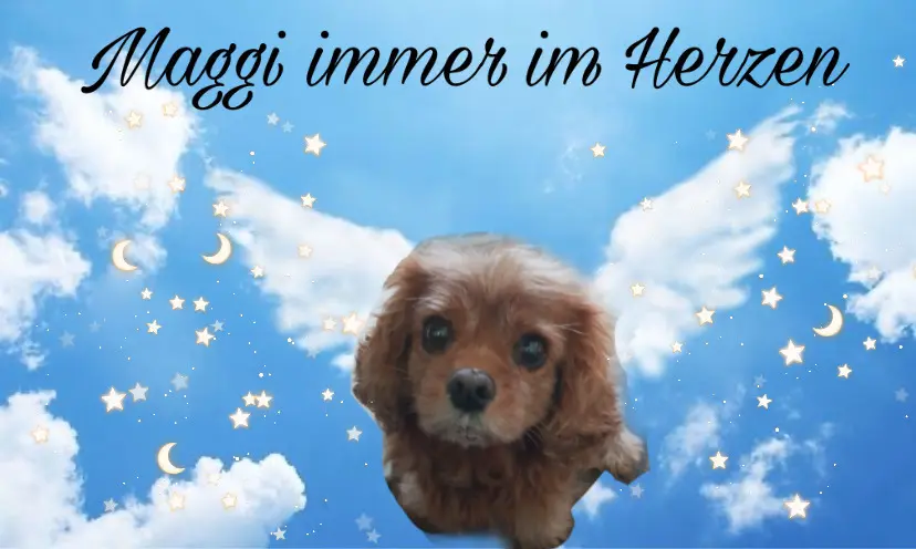 Condolence image of Vonny 