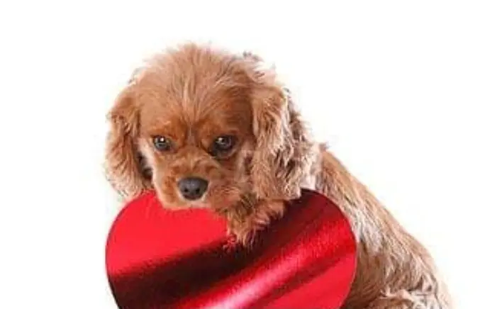 Condolence image of Deine Mama