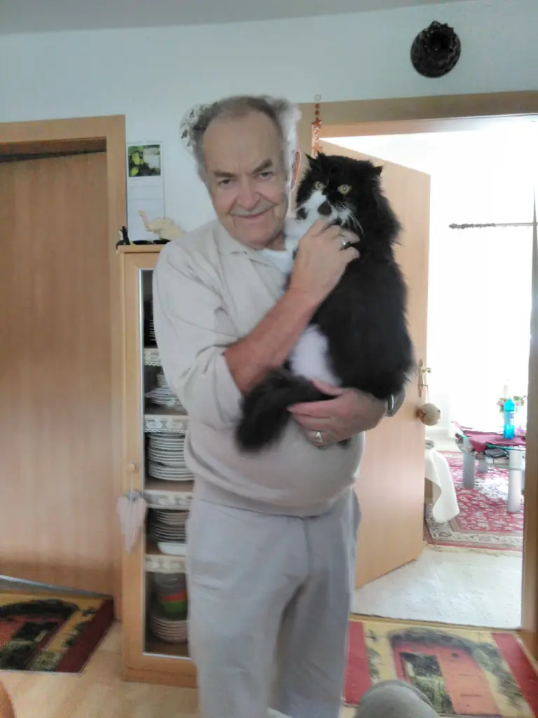Bild von Merlin