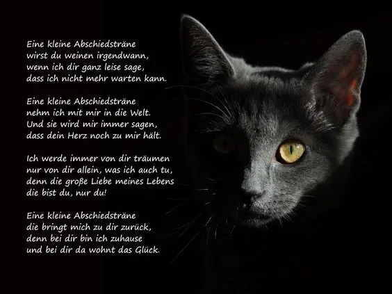 Condolence image of Sabine mit Luna im ❤️