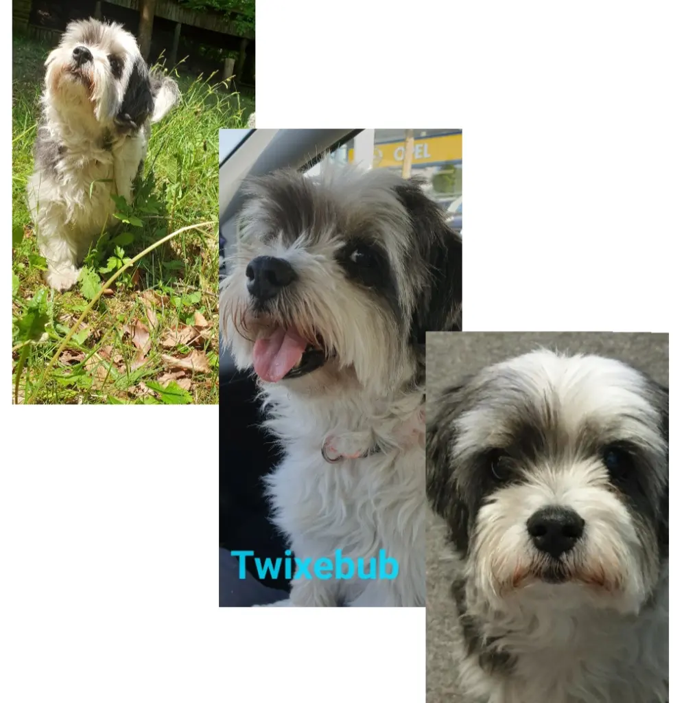 Image from Twix