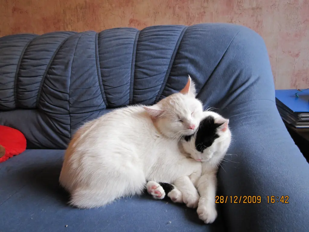 Image from Ricki