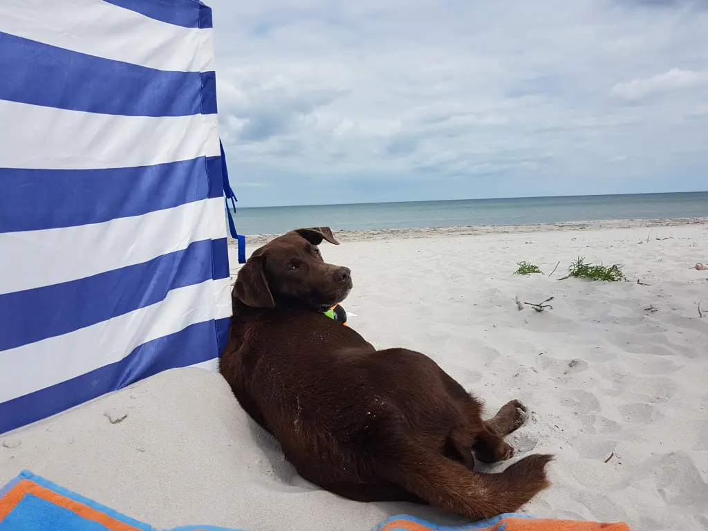 Andachtsbild von Silvana mit Bono ❤