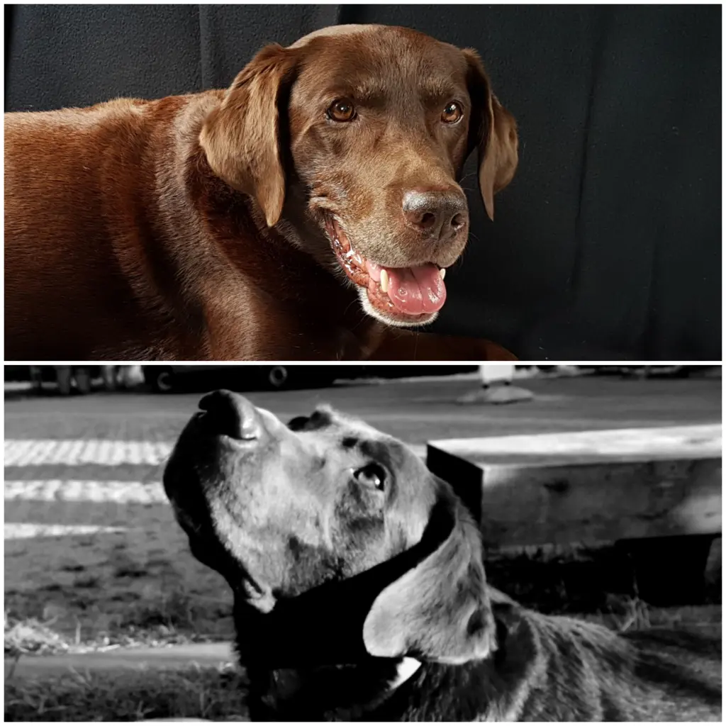 Andachtsbild von Silvana