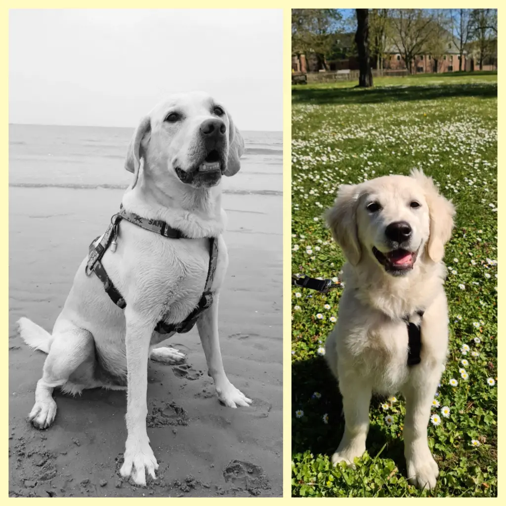 Condolence image of Andrea