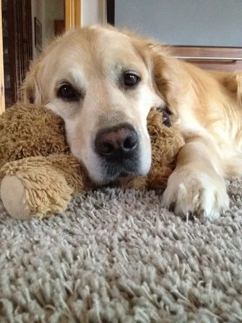 Condolence image of Hannelore