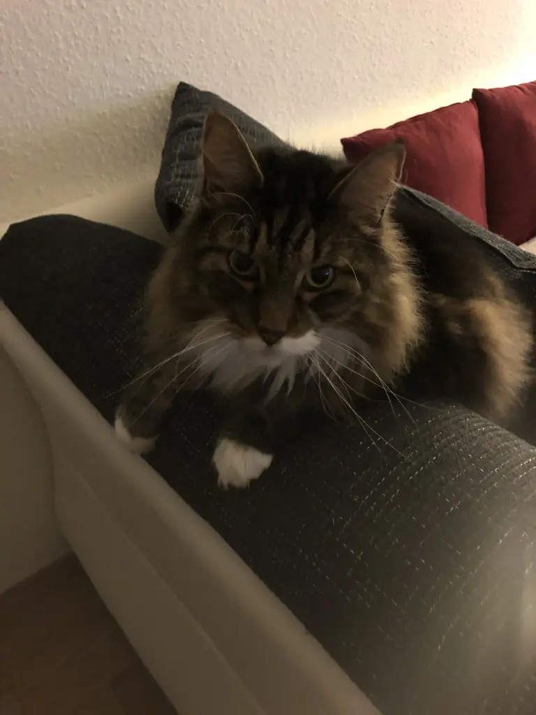 Andachtsbild von Martina