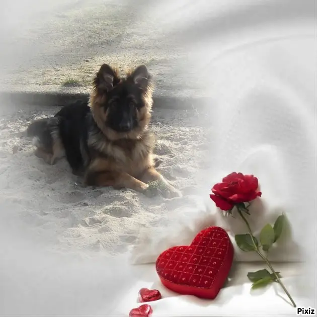 Andachtsbild von ❤️❤️❤️