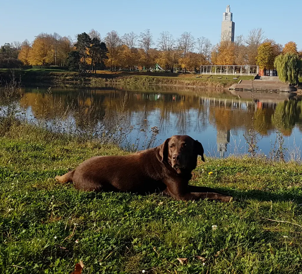 Andachtsbild von Silvana mit Bono ❤