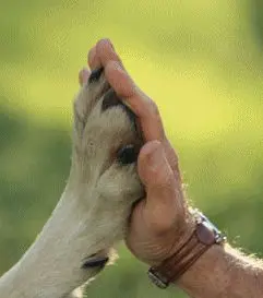 Condolence image of Francesco