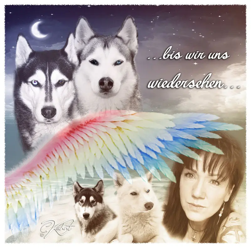 Condolence image of Deine Freundin Claudie