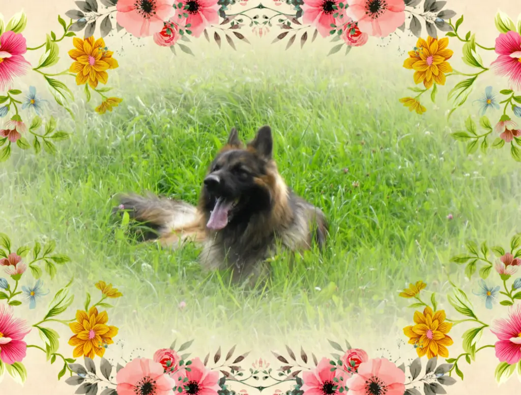 Andachtsbild von Birgit