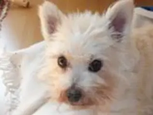 Condolence image of Mama
