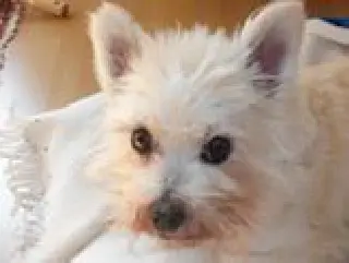 Condolence image of Marianne