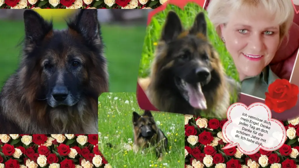Condolence image of Birgit