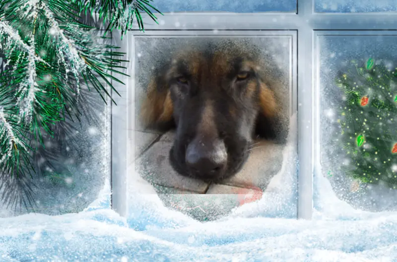 Condolence image of Birgit