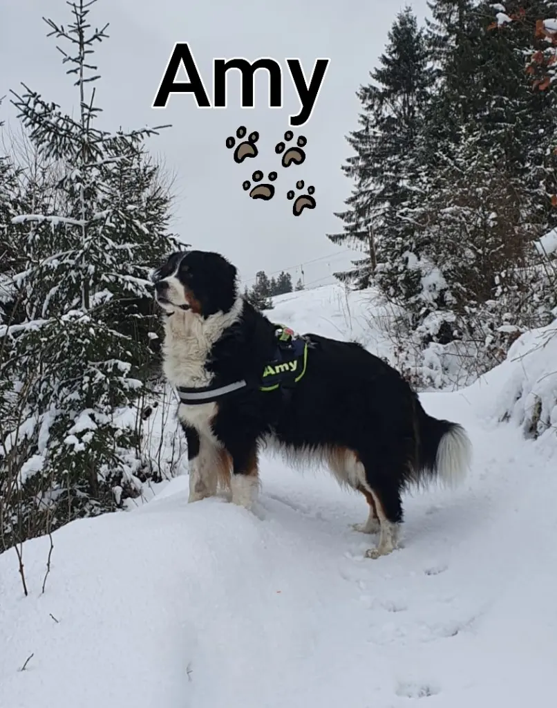 Image from Amy ❤️