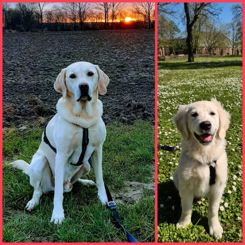 Andachtsbild von Andrea