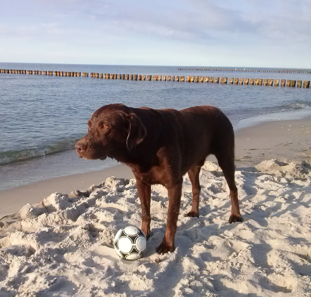 Andachtsbild von Silvana