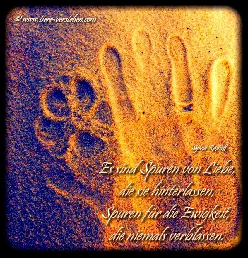 Condolence image of Nadina 