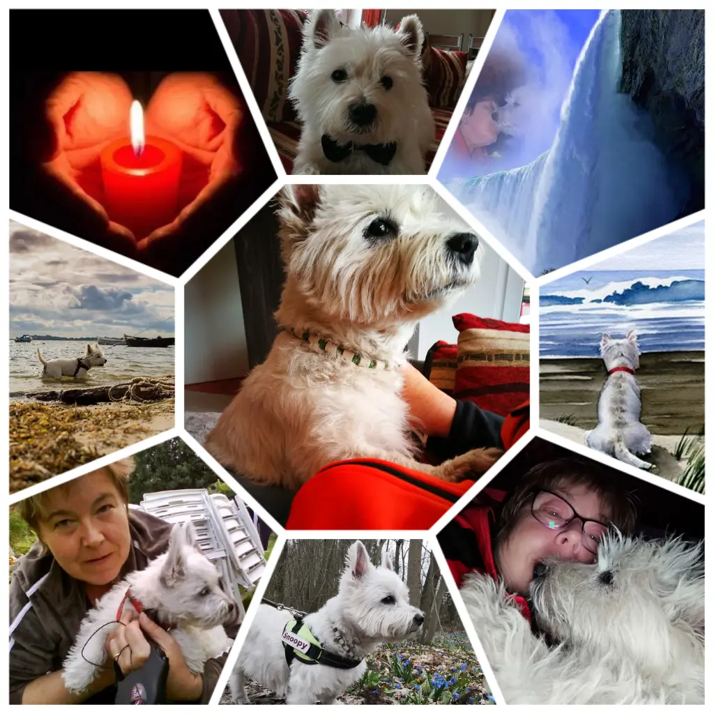 Image from Snoopy