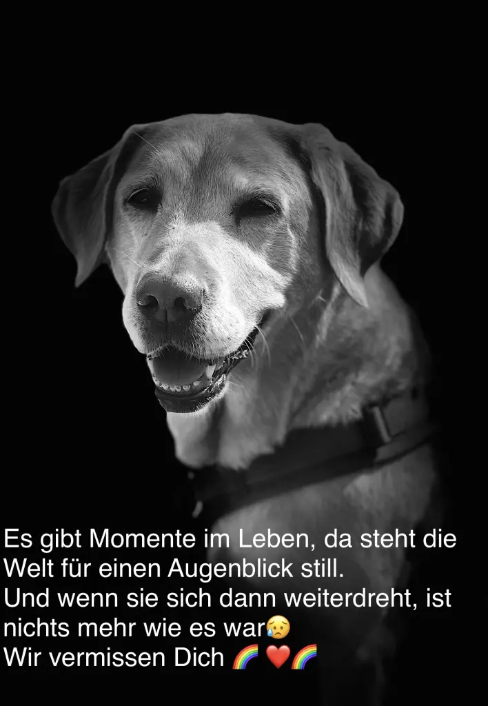 Image from Jule