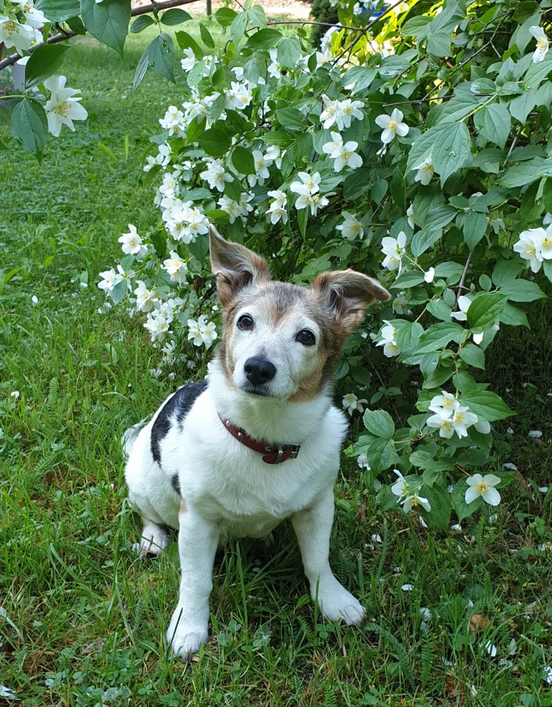 Condolence image of Kerstin