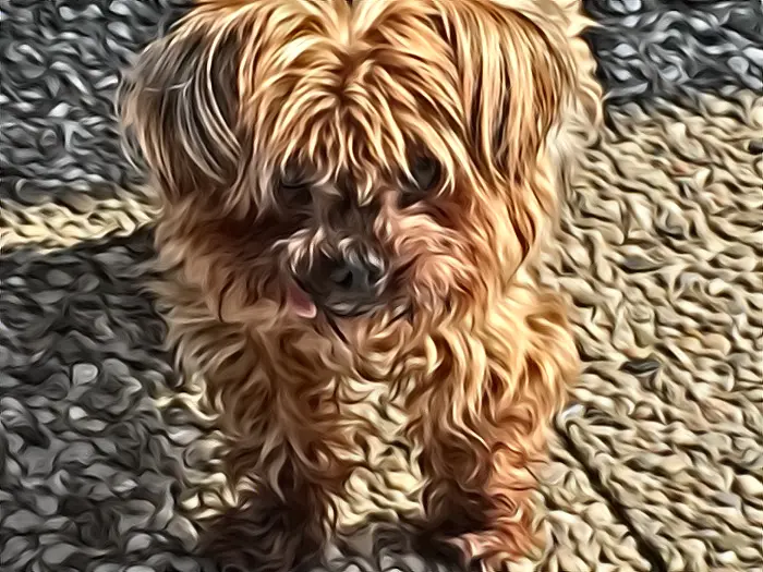 Image from Wilma