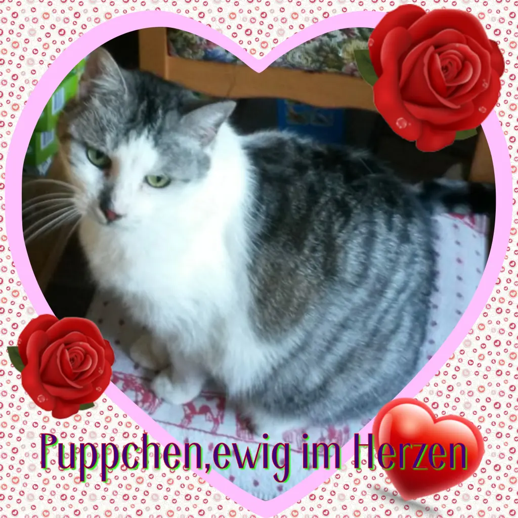 Andachtsbild von ❤In Liebe❤Deine Mutti und deine Oma ❤❤