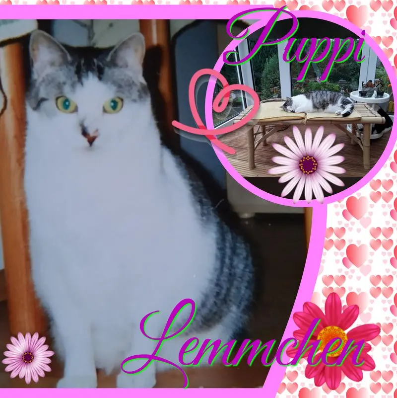 Andachtsbild von ❤Deine Mutti und Oma ❤