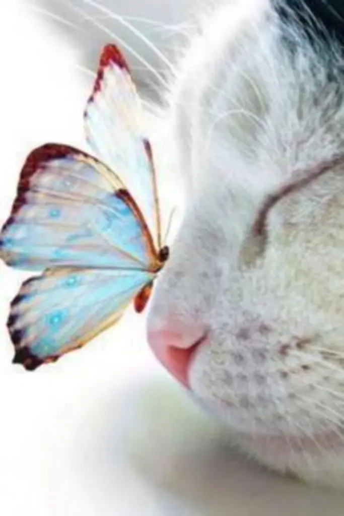 Andachtsbild von Tanja mit Timmy im Herzen