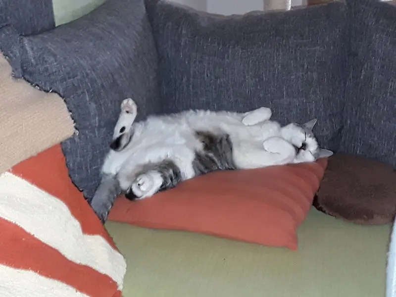 Andachtsbild von ❤Deine Mutti Eike und Oma Edeltraud ❤