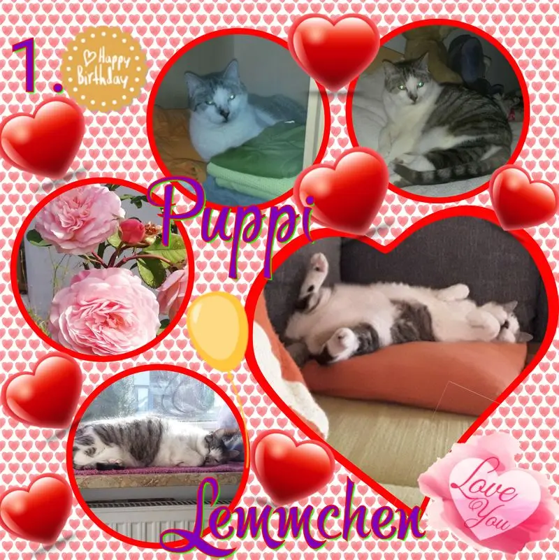 Andachtsbild von ❤Deine Mutti und deine Oma ❤