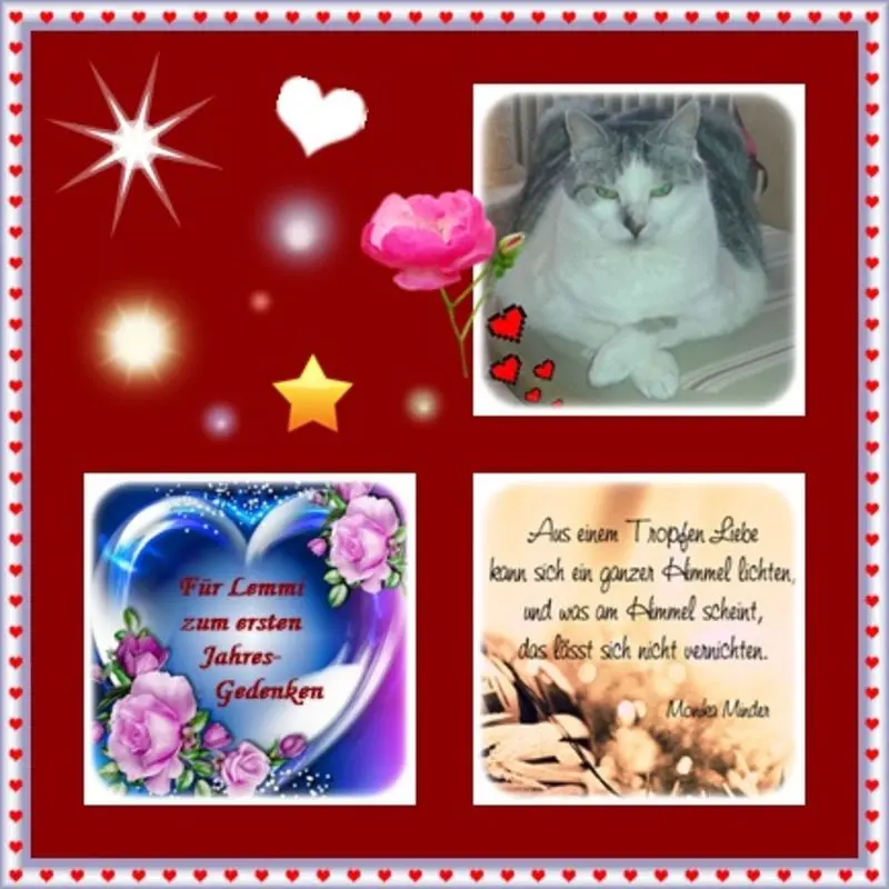 Andachtsbild von Ilse mit ihren geliebten Sternlein im Herzen