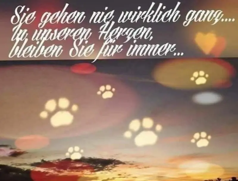 Andachtsbild von Hans u. Sibylle mit Momo † 13.11.2017