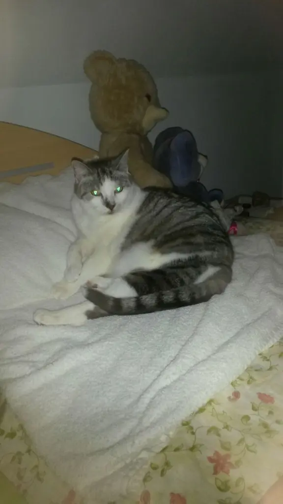 Andachtsbild von ❤Deine Mutti und deine Oma ❤